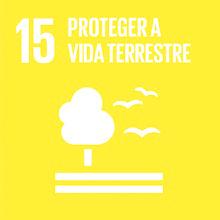Lavorada nos Objetivos de Desenvolvimento Sustentável4 Lavorada nos Objetivos de Desenvolvimento Sustentável4